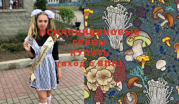 марихуана Лабытнанги