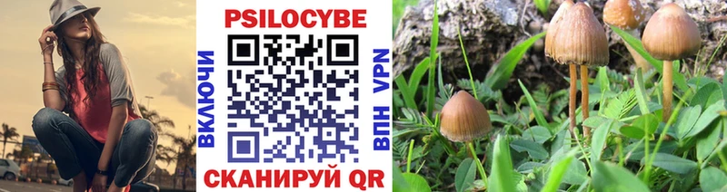 Купить где  Новомичуринск  Псилоцибиновые грибы мухоморы 
